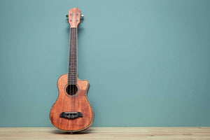 7 Factors to Consider When Buying Ukuleles from Island Bazaar Ukes - Island Bazaar Ukes