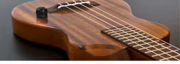 Stage-ready acoustic-electric ukulele plugged into amp with built-in EQ system at Island Bazaar Ukes