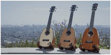 Top 7 Ukulele Brands for Every Budget - Island Bazaar Ukes