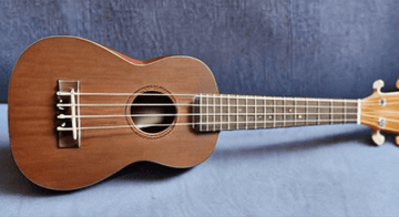 Why Playing the Ukulele is a Great Hobby for Everyone - Island Bazaar Ukes