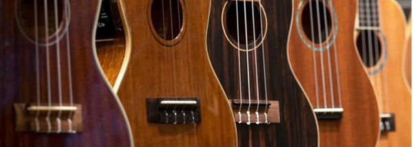 Row of wooden ukuleles, including tenor electric ukulele, at Island Bazaar Ukes.