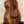 Awesome Koaloha Royal Pikake Tenor Ukulele KTM - 10 Satin - Finish - Island Bazaar Ukes