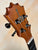 Awesome Koaloha Royal Pikake Tenor Ukulele KTM - 10 Satin - Finish - Island Bazaar Ukes