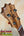Wooden guitar headstock with tuning pegs on a KoAloha Opio Concert Ukulele