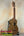 Wooden KoAloha Opio Concert Ukulele on a black stand showcasing solid acacia design