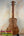 Wooden Concert Acacia Ukulele featuring koa wood grain in Beginners Bundle with accessories