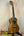 Wooden Concert Mango Ukulele with rich brown finish on black stand for beginners