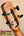 Wooden guitar headstock with black tuning pegs on Flight Voyager Tenor Ukulele