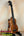 Wooden ukulele on black stand showcasing the Exquisite KoAloha KSM-00 Soprano Ukulele