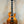 Gold metallic Les Paul-style electric guitar with dual humbuckers for Centurion GT Tenor