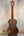 Classical acoustic guitar with dark walnut finish in Flight Victoria Tenor EQ-A Uke