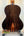 Kala Bocote Tenor Ukulele with dark striped wood grain back panel on display stand