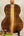 Back of Kala Contour Series Tenor Ukulele with solid acacia wood and light-colored stripe