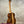 Kala Contour Series Tenor Ukulele with solid acacia wood and striped back on stand