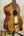 Glossy brown Kala Contour Series Tenor Ukulele with solid acacia body and white strings