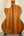 Kala Gloss Spruce Top Mahogany Back Cutaway Tenor Ukulele with symmetrical grain patterns