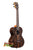 Dark brown Kala Gloss Ziricote tenor ukulele with striped wood grain pattern