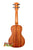 Wooden Kala KA-C-2 Satin Mahogany Concert Ukulele with natural finish and black tuning pegs