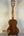 Classical acoustic guitar with wooden body highlighting Kala KA-SCAC-T6 6-string tenor ukulele