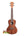 Kala Mahogany Concert Ukulele featuring a four-string design and rich gloss mahogany finish