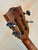 Kala SA - C Concert Ukulele - Solid Spruce & Acacia, Elegant & Versatile - Island Bazaar Ukes