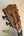 Wooden headstock of Kala SMH-CG Concert Ukulele with decorative patterns and black tuning pegs