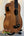 Wooden Kala U-Bass Nomad Acoustic-Electric Bass Ukulele with black hardware on stand