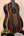 Striped Ebony Acoustic-Electric Bass Ukulele with four strings and a black bridge