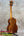 Kamaka HF-3 Tenor Ukulele – 110th Anniversary Edition with Deluxe Hard Case