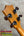 Kamaka HF-3 Tenor Ukulele – 110th Anniversary Edition with Deluxe Hard Case
