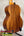 Kamaka HF-3 Tenor Ukulele – 110th Anniversary Edition with Deluxe Hard Case