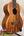 Kamaka HF-3 Tenor Ukulele – 110th Anniversary Edition with Deluxe Hard Case