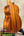 Wooden tenor ukulele with glossy finish from Kamaka HF-3 tenor series, Hawaiian Koa tone