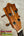 Ukulele headstock with tuning pegs on Kamaka HF-3 Tenor Ukulele Hawaiian Koa Tone Machine