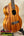Brown wooden Kamaka HF-3 tenor ukulele showcasing classic solid koa design