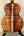 Acoustic guitar with koa wood back showcasing Kamaka HF3-D2i Tenor Uke Deluxe