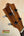 Wooden headstock of Kamaka HP-1 Pineapple Soprano Ukulele with tiger stripe pattern