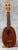 Kamaka HP-1 Pineapple Tenor Ukulele with polished wood finish and hard shell case