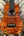 Beautiful Kanile’a 5-String Super-Concert Ukulele KPA-C-SC with figured Koa wood grain