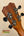 Ukulele headstock with tuning pegs on Kanileʻa D-1 T Pro Tenor Ukulele solid Hawaiian koa with deluxe gig bag