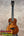 Kanile’a DK-T Pro tenor ukulele with solid koa, ebony fretboard