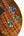 Three turquoise sea turtle designs on curly koa wood for Kanile’a HNS-T-PREM Concert Ukulele
