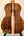 Acoustic guitar with striking striped koa back panel in Kanile’a HNS-T-PREM Tenor Ukulele