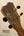 Guitar headstock of Kanile’a HNS-T-PREM Tenor Ukulele with gold tuning pegs and knobs