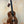 Beautiful Kanile’a HNS-T-PREM Tenor Ukulele made of premium curly koa on a stand