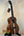 Beautiful Kanile’a HNS-T-PREM Tenor Ukulele made of premium curly koa on a stand