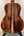 Acoustic Kanile’a Honus Tenor Ukulele with striking striped koa wood back display