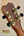 Guitar headstock with gold tuning pegs on Kanileʻa Honus Tenor Ukulele HNS-T