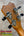 Kala ʻIlikai T Pro tenor ukulele wooden headstock with tuners