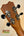 Ukulele headstock with tuning pegs on Kanileʻa ’Ilikai Tenor Ukulele at Island Bazaar